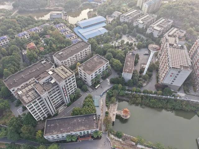 夕阳红公寓爆雷:一场疯狂的庞氏骗局走向崩塌