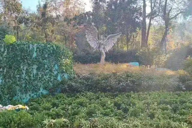 李玟武汉墓地杂草丛生<strong></p>
<p>炒币入门专业教程</strong>?其姐姐发文回应