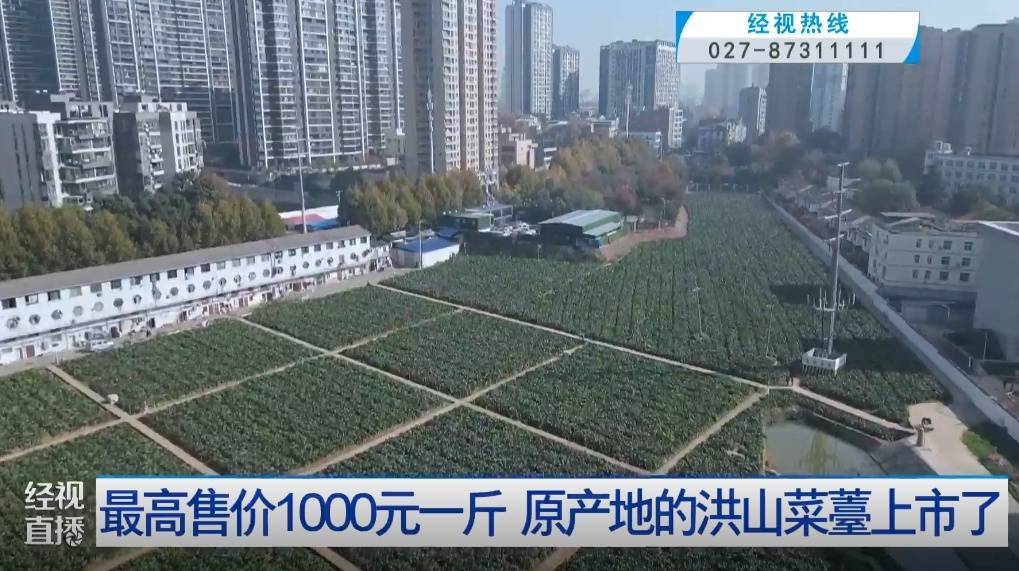 武汉人爱吃!最高1000元一斤<strong></p>
<p>波场币多少钱一个</strong>,供不应求