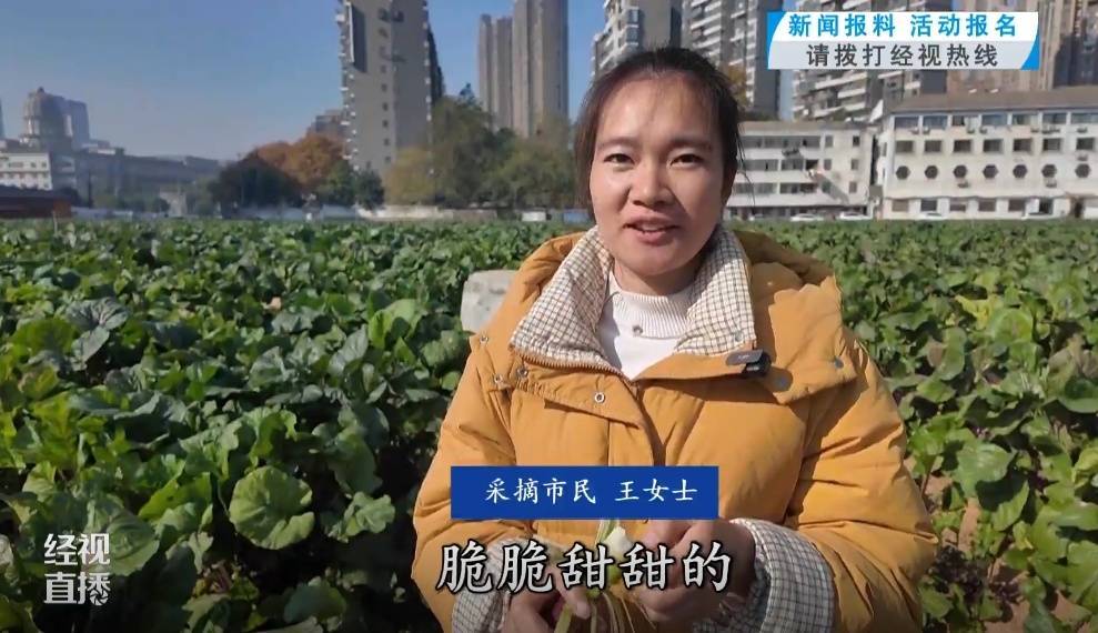 武汉人爱吃!最高1000元一斤<strong></p>
<p>波场币多少钱一个</strong>,供不应求