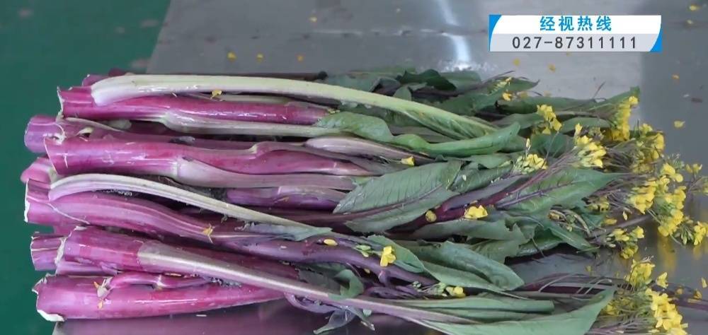 武汉人爱吃!最高1000元一斤<strong></p>
<p>波场币多少钱一个</strong>,供不应求