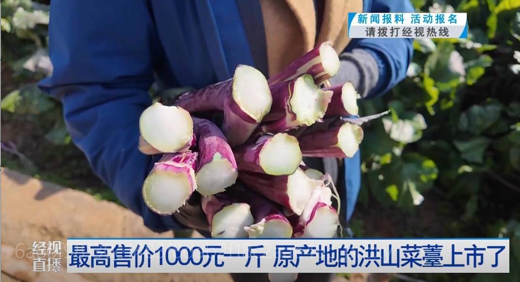 武汉人爱吃!最高1000元一斤<strong></p>
<p>波场币多少钱一个</strong>,供不应求