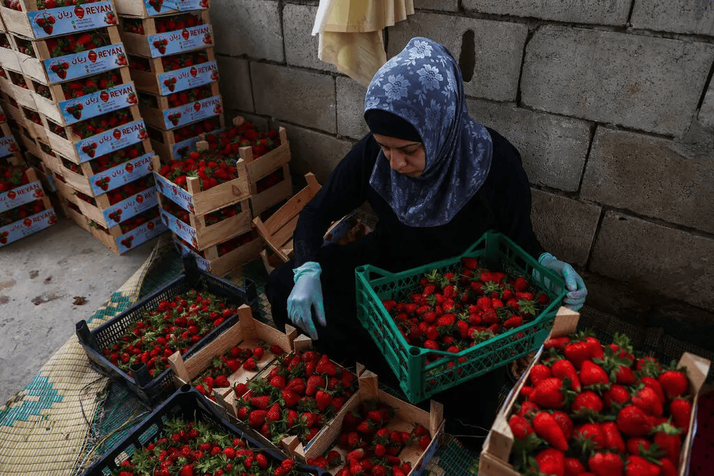 叙利亚战火持续<strong></p>
<p>其他货币资金及交易性</strong>，攻下阿勒颇的反对派武装到底什么来头？在下一盘什么棋？