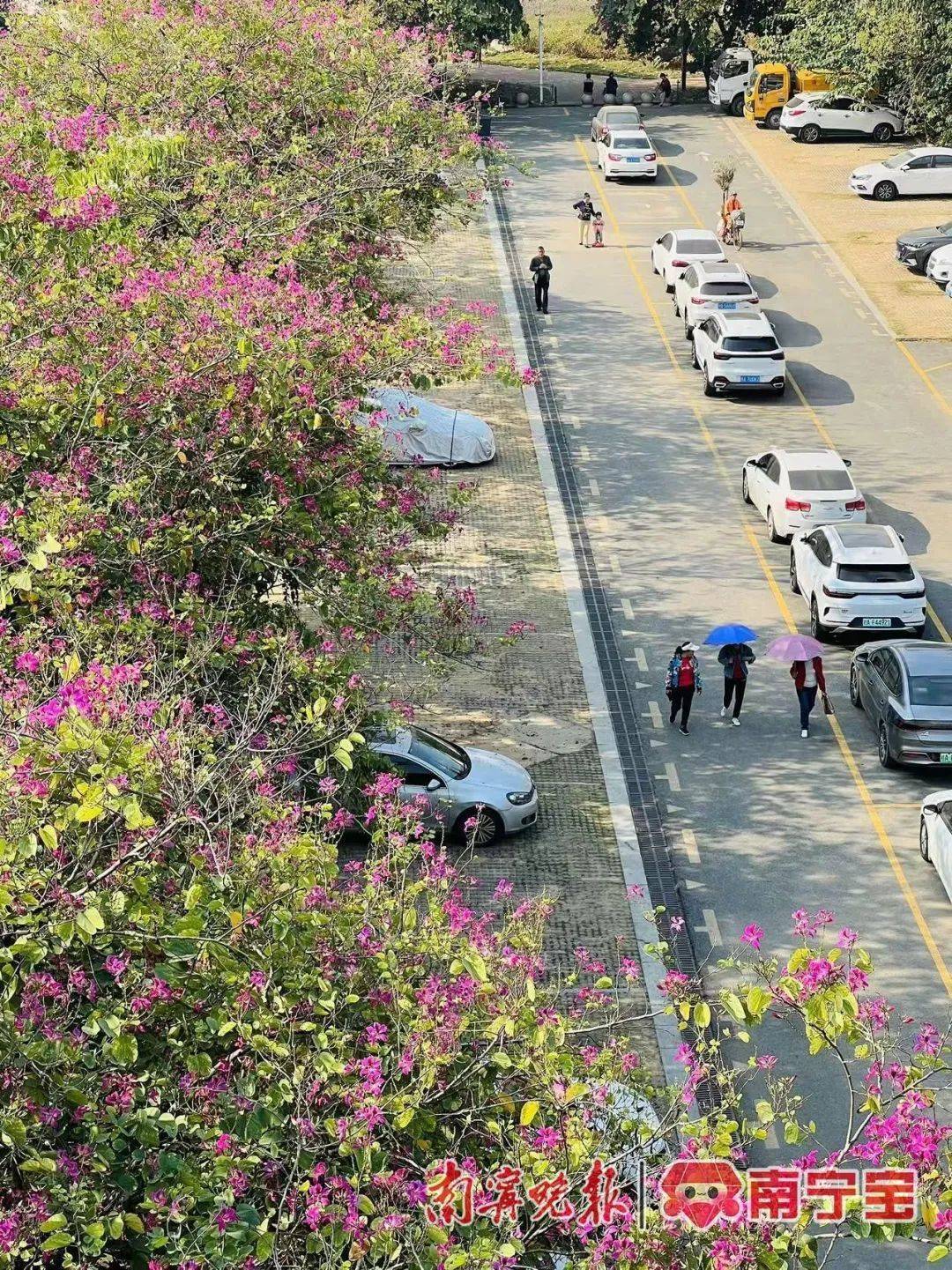 广西将开启“冻人”模式<strong></p>
<p>rvn币价格行情</strong>!最冷出现在这一天→