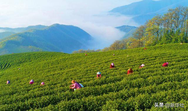 瞭望·治国理政纪事|“<strong></p>
<p>binance哪里下载</strong>我也是个老基层”