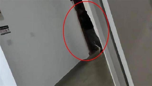 上海一高校男生晚上撞开女生寝室门<strong></p>
<p>binance下载</strong>,校方:醉酒后走错了