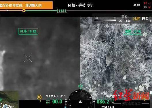 揭秘“野猪猎捕队”丨海拔3000米高山密林<strong></p>
<p>货币的时间价值</strong>,记者跟队直击猎捕野猪全过程