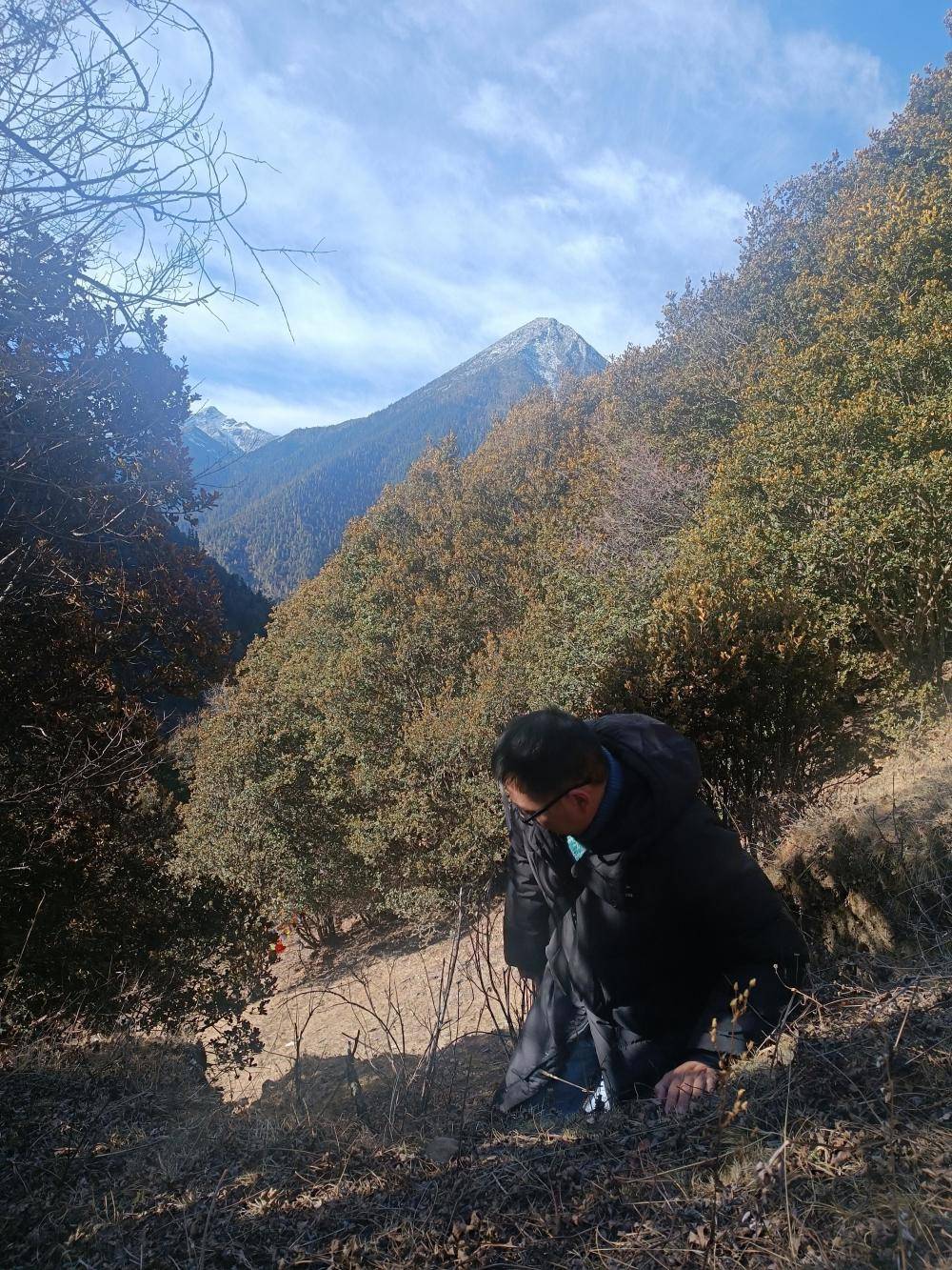 揭秘“野猪猎捕队”丨海拔3000米高山密林<strong></p>
<p>货币的时间价值</strong>,记者跟队直击猎捕野猪全过程