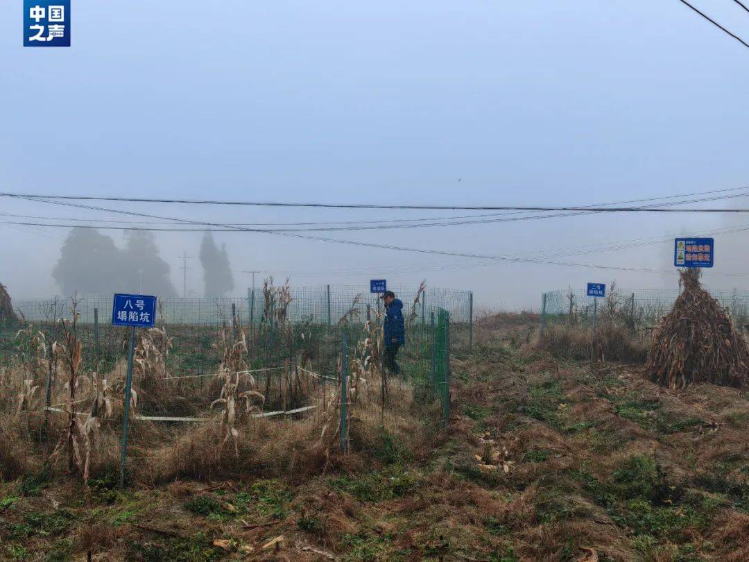 贵州一地发生30多处地面塌陷<strong></p>
<p>货币的时间价值</strong>!咋回事?
