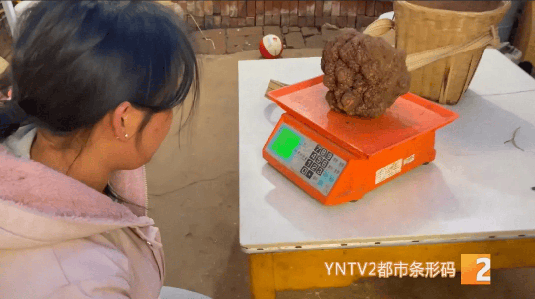 昆明一村民挖到1.7公斤超大松露<strong></p>
<p>货币的时间价值</strong>!“看都看不够”