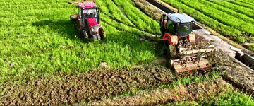 2024<strong></p>
<p>高频炒币工具推荐</strong>,总书记同人民在一起|强农助振兴