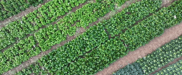 2024<strong></p>
<p>高频炒币工具推荐</strong>,总书记同人民在一起|强农助振兴