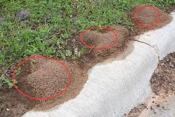 小心<strong></p>
<p>高频炒币工具推荐</strong>！毒性强！福州又发现了！千万别碰