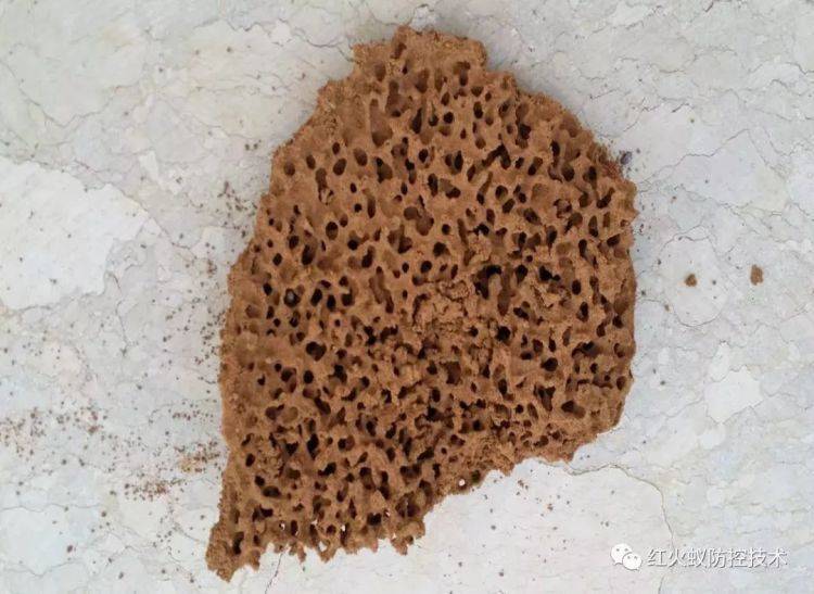 小心<strong></p>
<p>高频炒币工具推荐</strong>！毒性强！福州又发现了！千万别碰