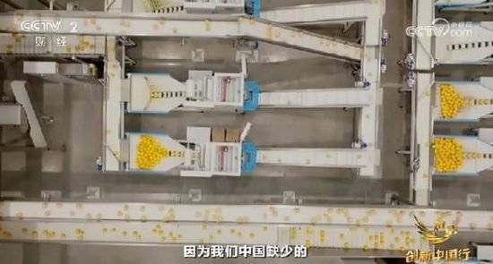 2024年末央视再度专访钟睒睒<strong></p>
<p>炒币需要知道哪些知识</strong>,背后有何深意?