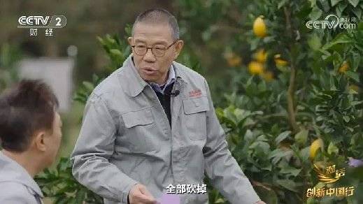 2024年末央视再度专访钟睒睒<strong></p>
<p>炒币需要知道哪些知识</strong>,背后有何深意?