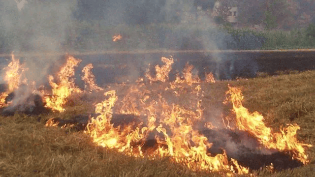 唐山各乡镇、村落一律禁止<strong></p>
<p>债券交易业务包括</strong>!多名村民被罚