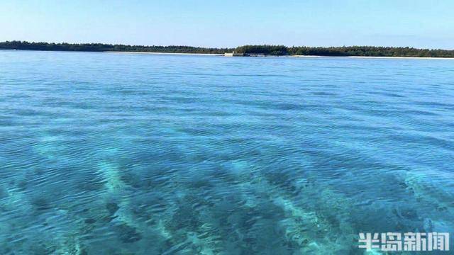 青岛女子买下70万平米小岛后续来了：目前没打算私有<strong></p>
<p>货币市场进入门槛</strong>，七八月份将带员工到岛上团建