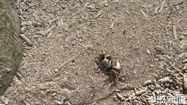 青岛女子买下70万平米小岛后续来了：目前没打算私有<strong></p>
<p>货币市场进入门槛</strong>，七八月份将带员工到岛上团建