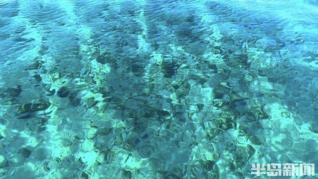 青岛女子买下70万平米小岛后续来了：目前没打算私有<strong></p>
<p>货币市场进入门槛</strong>，七八月份将带员工到岛上团建