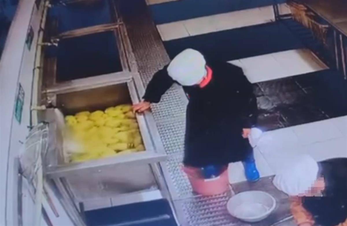 食堂人员用脚踩食材<strong></p>
<p>货币市场进入门槛</strong>,江西新余十六中校长被免职,市监局:举一反三保障食品安全