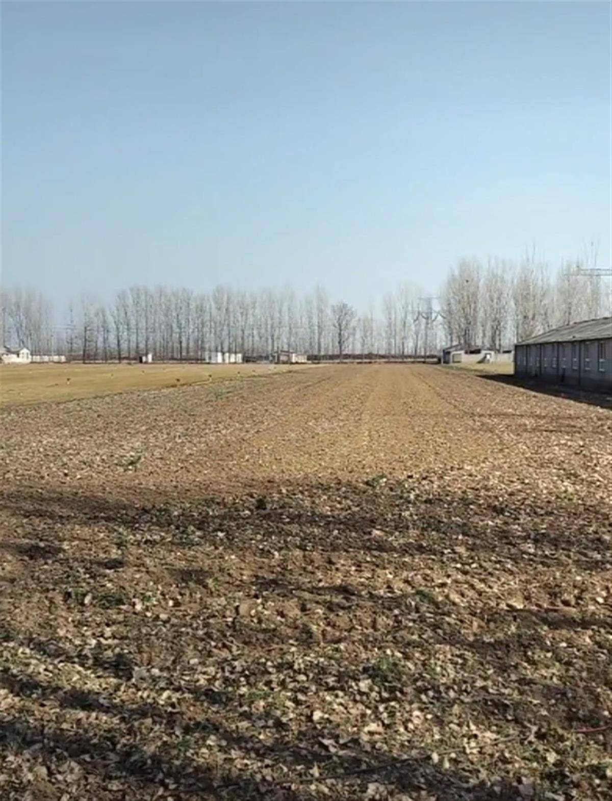 焦作20亩小麦青苗凌晨被毁<strong></p>
<p>好用的换ip软件</strong>，两名肇事者丢下拖拉机逃跑，警方：案件正处理