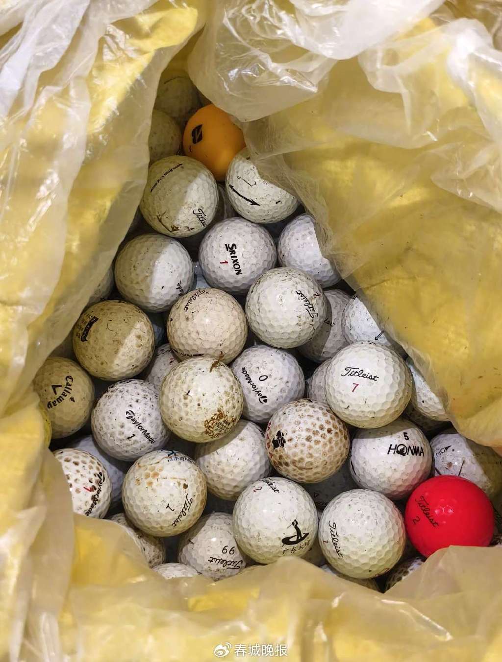 3人穿潜水服偷捞高尔夫球<strong></p>
<p>原油价格行情</strong>,警方用时4小时人赃并获