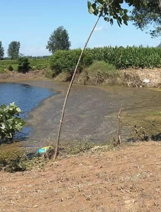 “女生遭侵犯落水被阻挡上岸至溺亡”案续:检方提起抗诉<strong></p>
<p>原油下跌原因</strong>,建议死刑