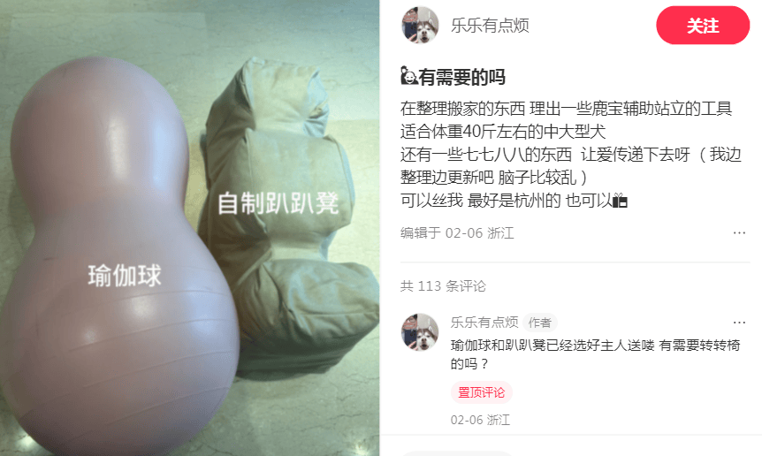 3000万只宠物的养老<strong></p>
<p>wti美国原油</strong>,难倒了年轻人