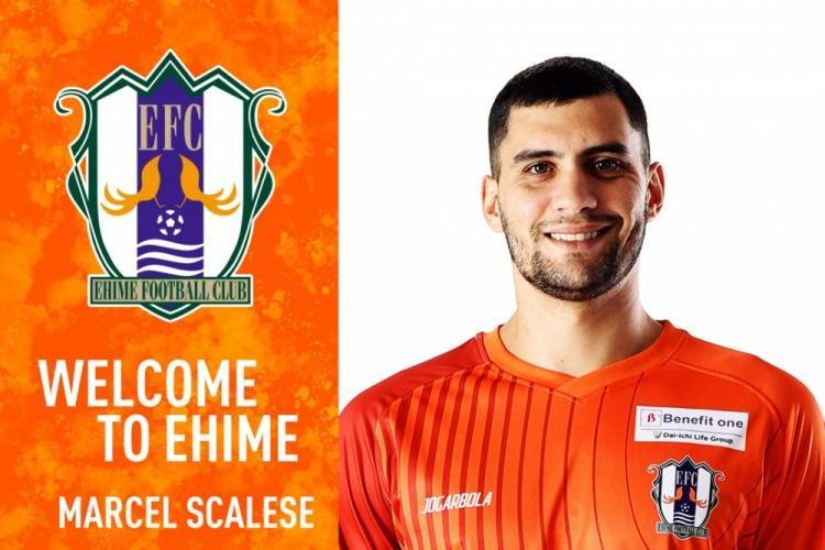 官方:前泰山外援马塞尔加盟J2球队爱媛FC<strong></p>
<p>原油实时价格</strong>,将身披3号球衣