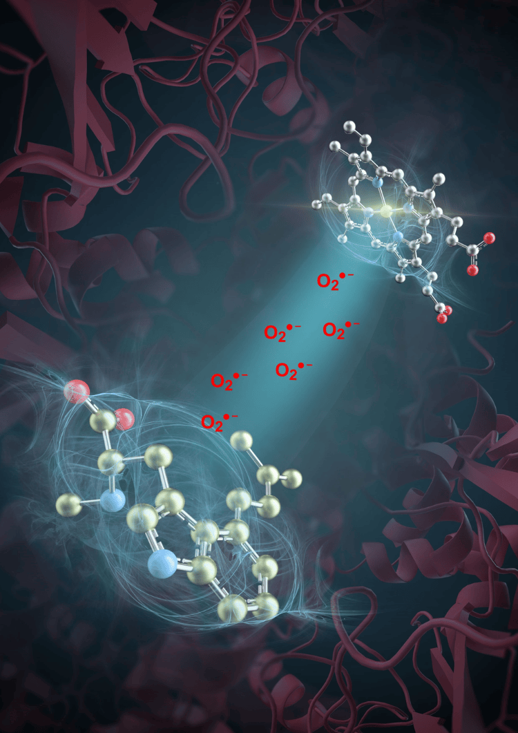 突破性进展<strong></p>
<p>原油实时价格</strong>！我国科学家发现活性氧超氧阴离子是药物分子合成催化剂