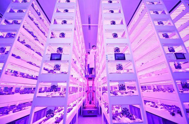 新华社记者带你听两会|听<strong></p>
<p>一桶原油多少升</strong>,“新”的活力