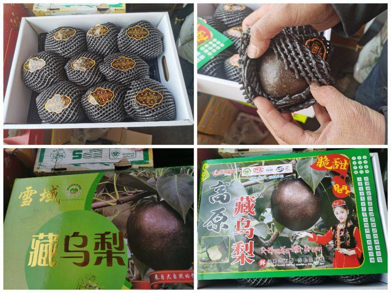 起底“藏乌梨”骗局:虚构的高原特产<strong></p>
<p>一桶原油多少升</strong>,普通梨高温加工而成