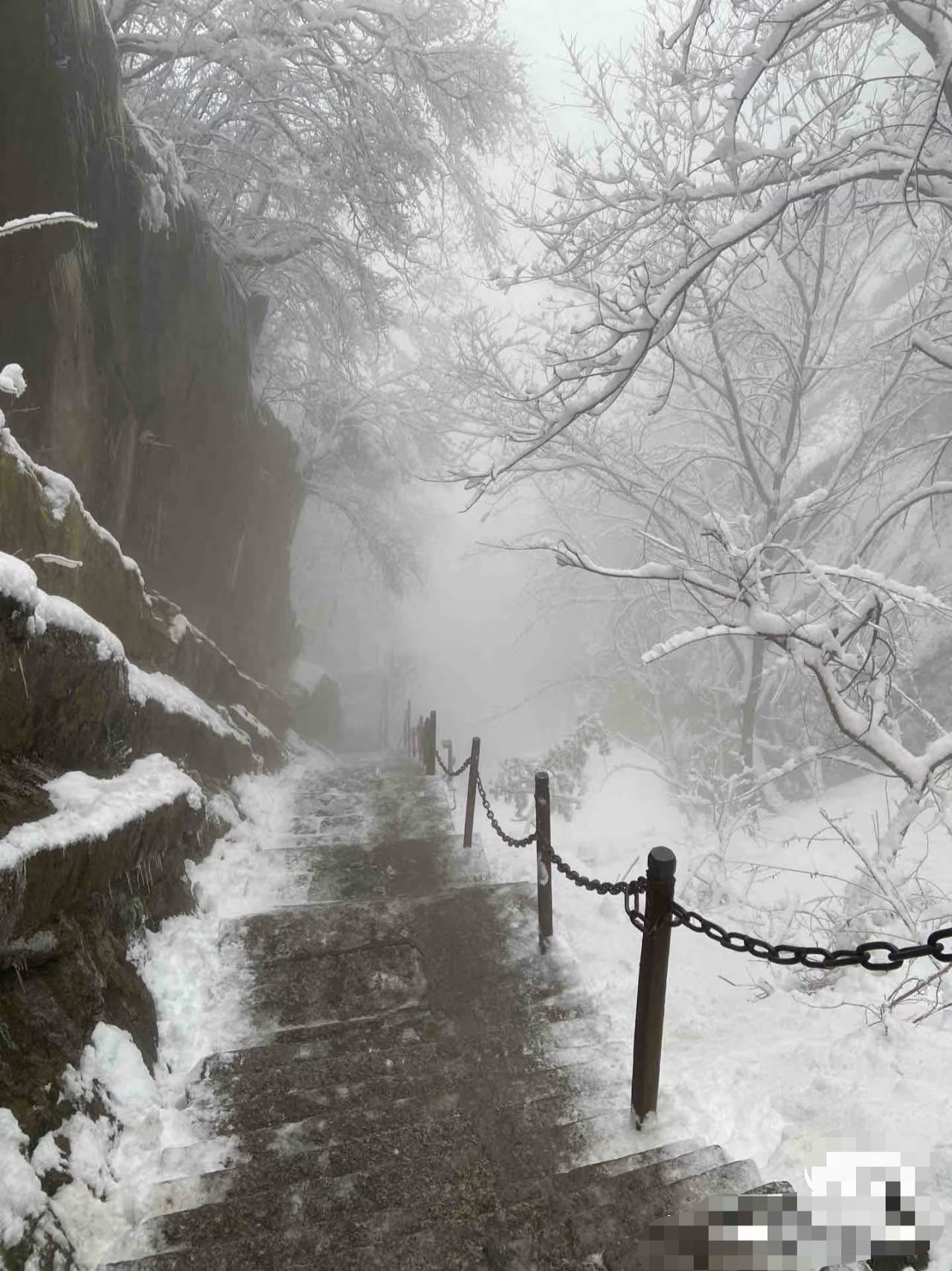 27岁小伙华山景区坠亡<strong></p>
<p>控原油</strong>，家属不认为是轻生 警方：坠崖原因正在调查中