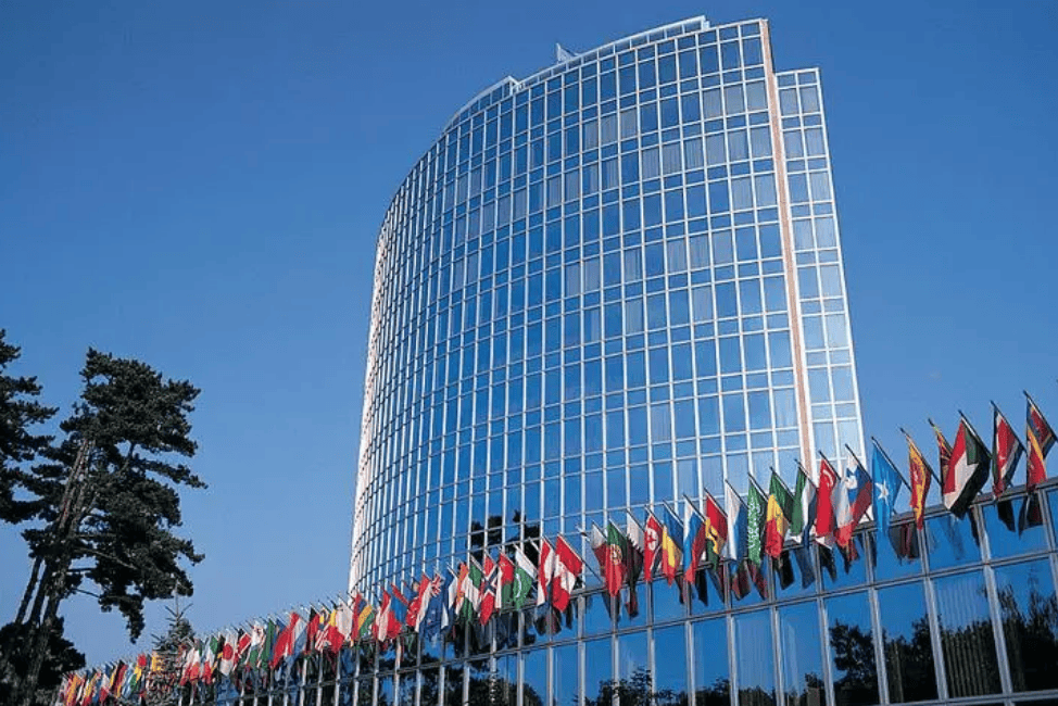 数10人死亡！特朗普遭晴天霹雳<strong></p>
<p>金投原油</strong>，联合国都被惊动，中方早有言在先