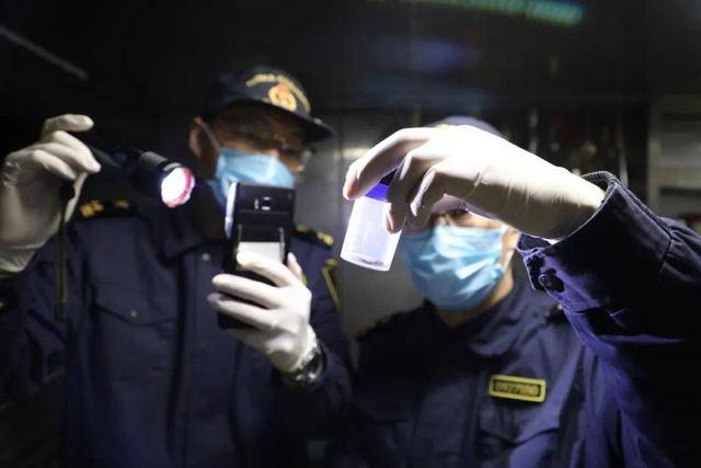 大连港湾海关关员在入境船舶中查获德国小蠊500余只