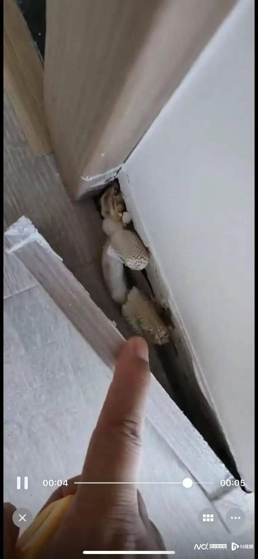 “深更半夜<strong></p>
<p>如何投资原油</strong>,又掉一大块下来”!广东一小区业主怒了