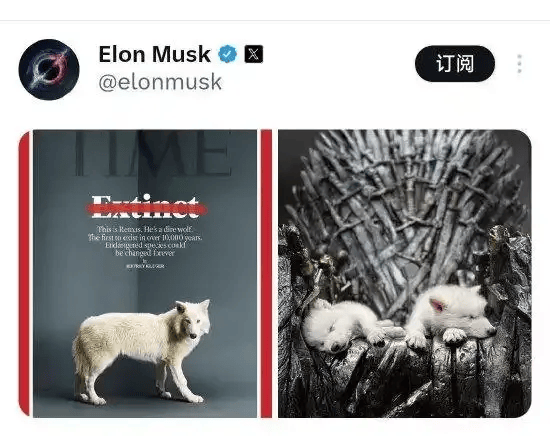 《权力的游戏》中的冰原狼被这家公司复活<strong></p>
<p>原油技术分析</strong>，马斯克发帖关注