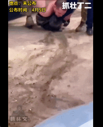 泽连斯基：乌军死亡10万<strong></p>
<p>中质原油</strong>，850万人外逃！乌克兰还能挤出多少兵？