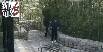 太猖狂!事发上海迪士尼<strong></p>
<p>中原油田待遇</strong>,7人被刑拘