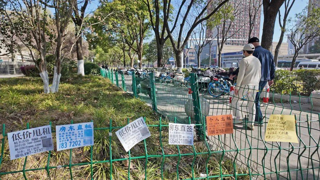 一二线城市房租普降<strong></p>
<p>中原油田待遇</strong>,房东主动降200留我