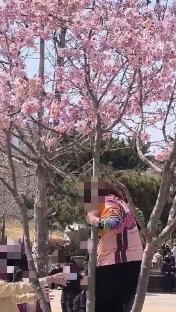 事发劳动公园!这4名女子<strong></p>
<p>中原油田待遇</strong>,你们这么做不脸红吗?