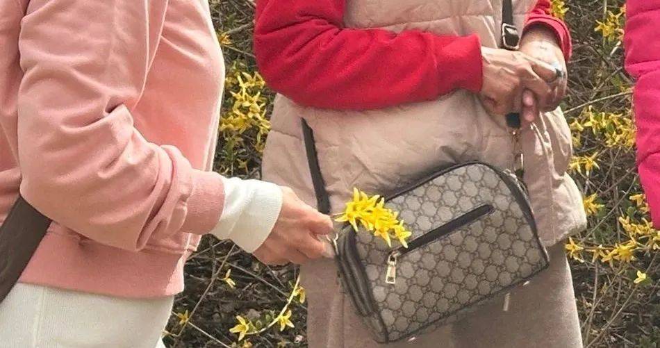 事发劳动公园!这4名女子<strong></p>
<p>中原油田待遇</strong>,你们这么做不脸红吗?