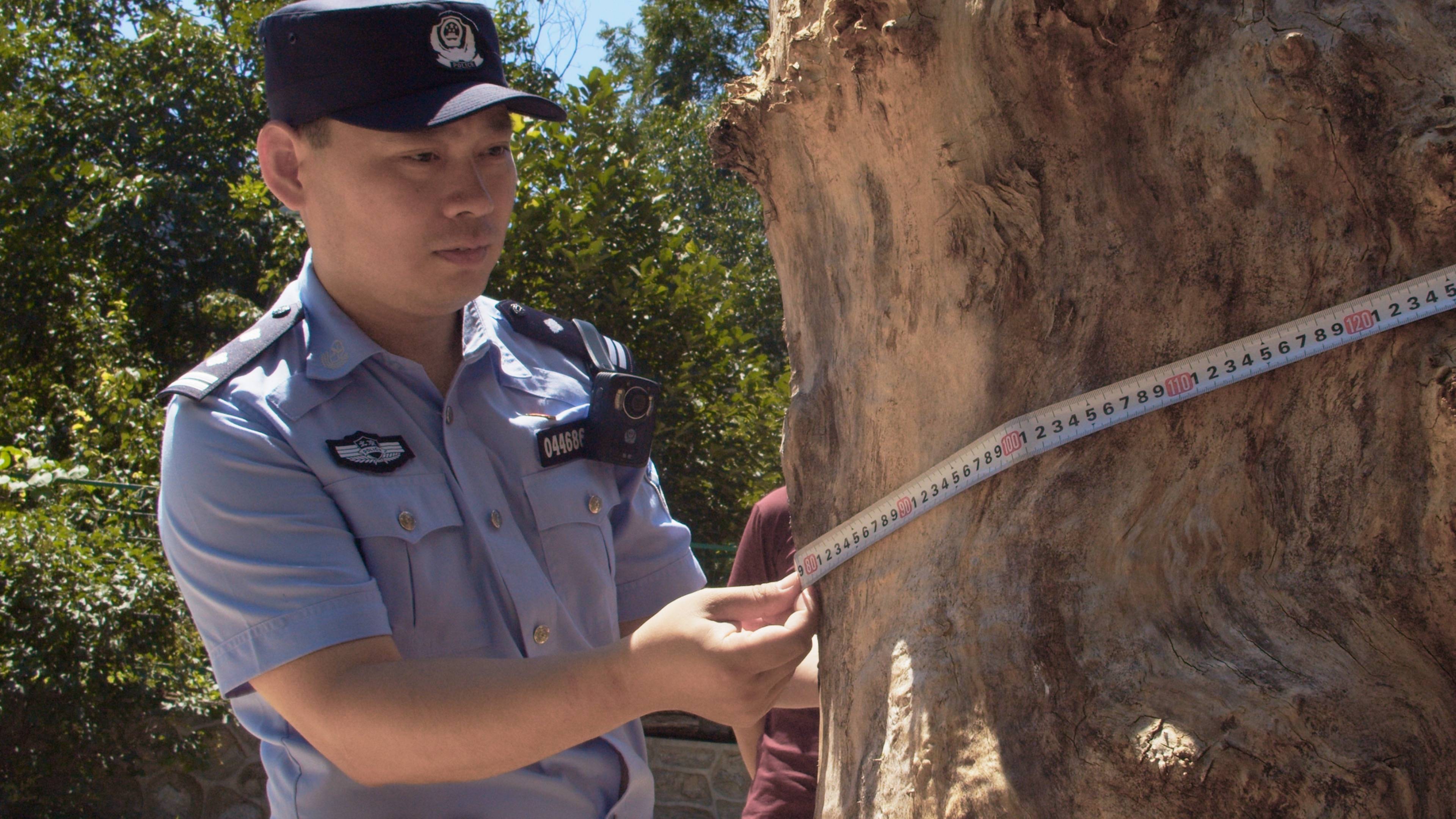森林警察韩孟祺:乔装成驴友潜伏密林中<strong></p>
<p>原油cl</strong>,抓获“粘鸟”嫌疑人