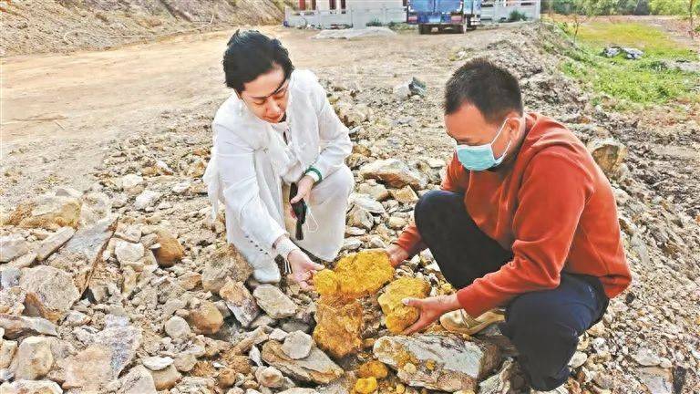 广东一地挖出“黄金土”，专家：具体成分需等待检测报告