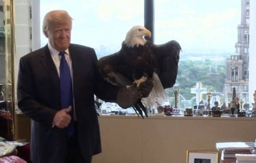 耶伦再次站了出来<strong></p>
<p>利比亚原油</strong>,若是与中国对着干,就把美国自己给“打残”了