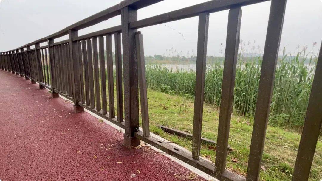 南京市市长陈之常走进直播间<strong></p>
<p>原油储量排名</strong>,现场责令核查燃气二次收费