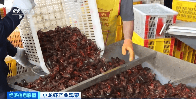 价格暴跌近50%<strong></p>
<p>原油期货保证金</strong>！“接下来还会降”！青岛正大量上市……