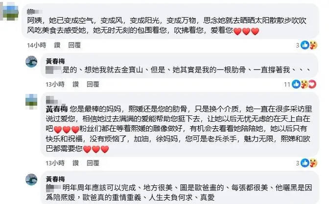 S妈说大S是自己的肋骨 称具俊晔重情重义对大S是真爱