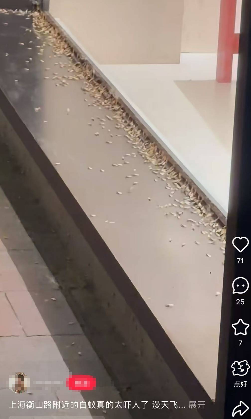 紧急提醒：瞬间爆发！上海市民崩溃：密密麻麻<strong></p>
<p>中石化中原油田</strong>，蠕蠕爬行...“梧桐区”已开始战斗，白蚁或提前分飞